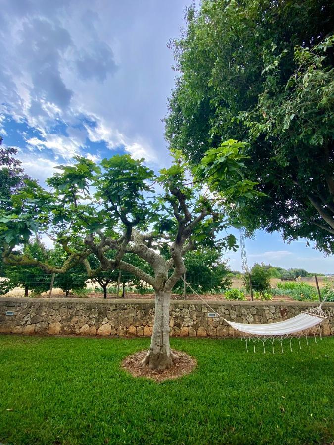 Finca Amer Sa Pobla Exteriör bild